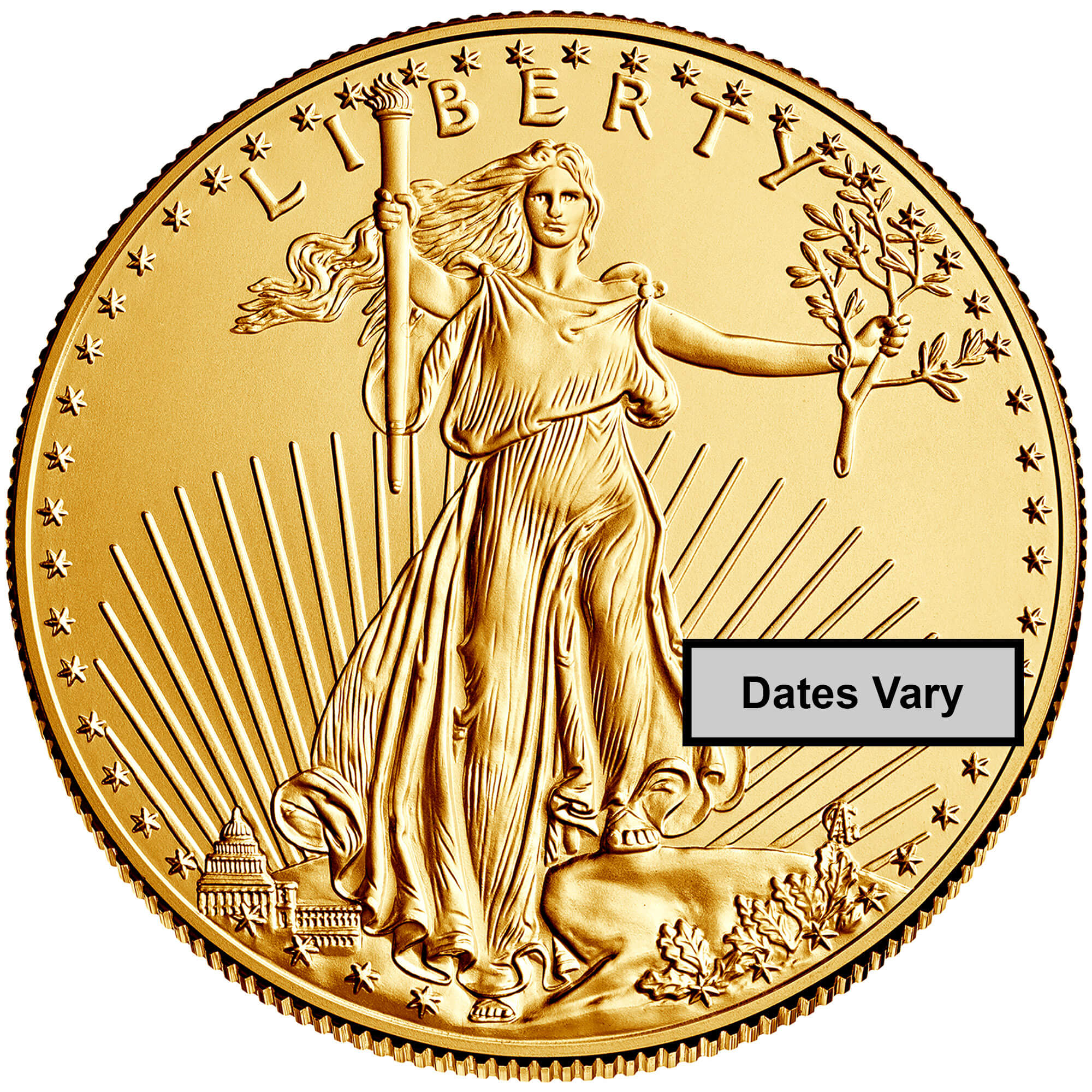 1 oz gold american eagle coin